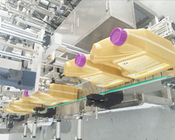 小型全自動潤滑油灌裝機